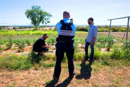 Il tombe sur un gisement d'or de plusieurs millions d'euro en retournant la terre de son champs, l'état saisi les terres sans compensation