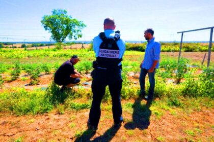 Il tombe sur un gisement d'or de plusieurs millions d'euro en retournant la terre de son champs, l'état saisi les terres sans compensation