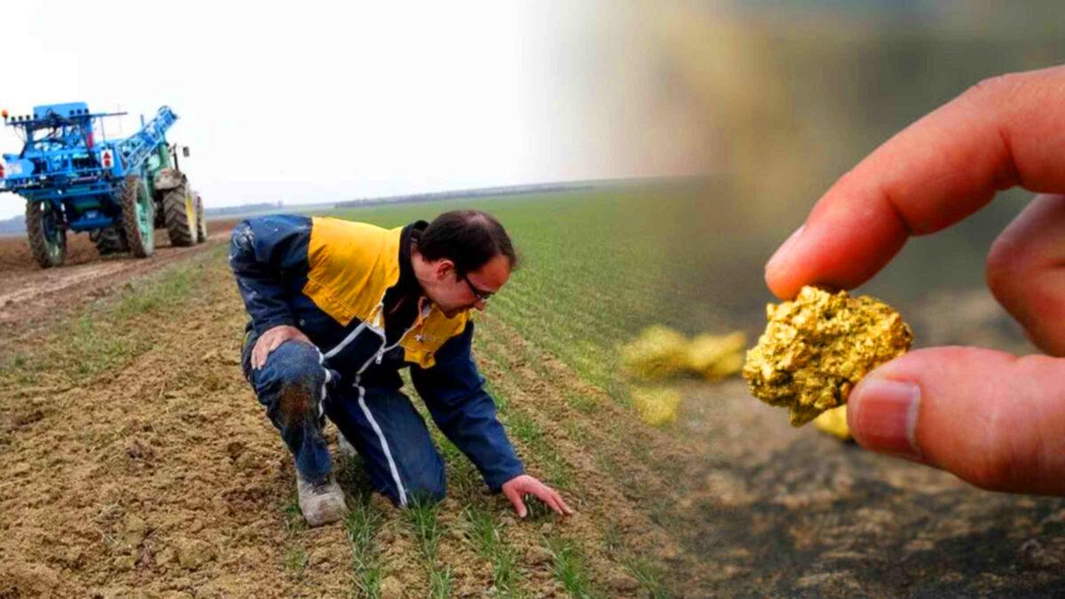 Cet agriculteur découvre par hasard un gisement d’or estimé à 115 millions d’euros, le gouvernement saisie les terres sans dédomagement